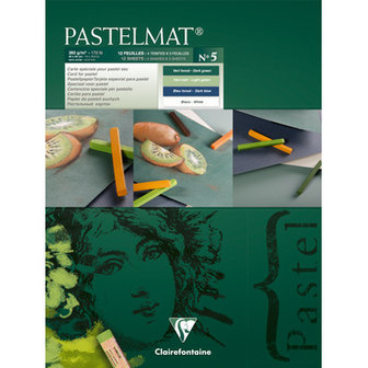 Pastelmat No 5 Pastel Papier verlijmd Groen Blauw Wit kleuren fijne structuur 12 vellen van Clairefontaine 360 grams 30 x 40 cm