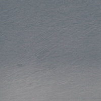 Bilberry (TC09) Tinted Charcoal (Houtskool) Pencil / Potlood van Derwent Kleur 09