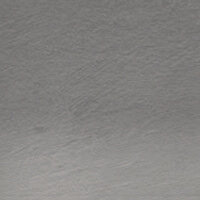 Elderberry (TC10) Tinted Charcoal (Houtskool) Pencil / Potlood van Derwent Kleur 10