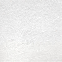 White (TC21) Tinted Charcoal (Houtskool) Pencil / Potlood van Derwent Kleur 21