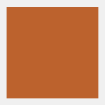 Oranje oker Rembrandt Olieverf Royal Talens 15 ML (Serie 1) Kleur 232