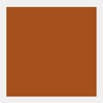 Stil de grain bruin Rembrandt Olieverf Royal Talens 15 ML (Serie 3) Kleur 418