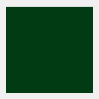 Groene aarde Rembrandt Olieverf Royal Talens 15 ML (Serie 1) Kleur 629