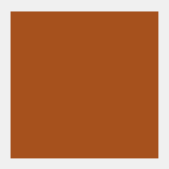Stil de grain bruin Rembrandt Olieverf Royal Talens 40 ML (Serie 3) Kleur 418