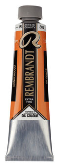 Donkergoud Rembrandt Olieverf Royal Talens 40 ML (Serie 3) Kleur 803