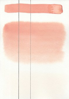 Flesh Tint Aquarius Heel napje Aquarelverf van Roman Szmal Kleur 213