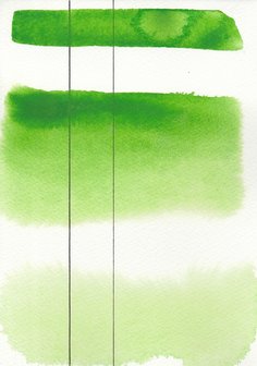 Permanent Green Light Aquarius Heel napje Aquarelverf van Roman Szmal Kleur 231