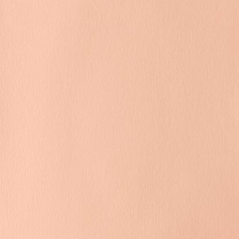 Pale Rose Blush (S 1) Designers Gouache van Winsor &amp; Newton 14 ML Kleur 257