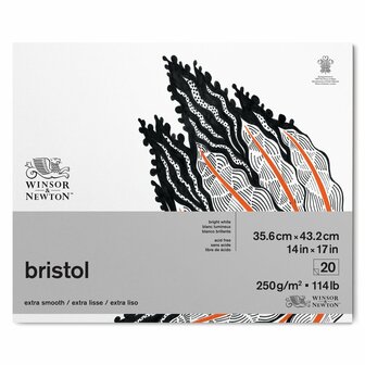 35,6 x 43,2 cm Bristol blok Kopsgelijmd 20 vellen van Winsor &amp; Newton 250 grams 35,6 x 43,2 cm