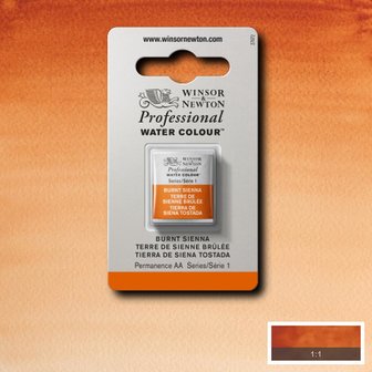 Burnt Sienna Serie 1 Professional Watercolour Half Napje van Winsor &amp; Newton Kleur 074