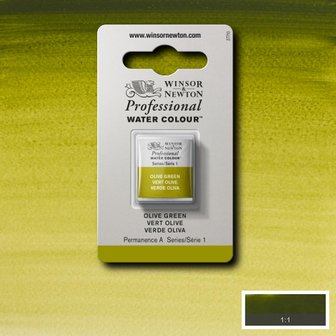 Olive Green Serie 1 Professional Watercolour Half Napje van Winsor &amp; Newton Kleur 447
