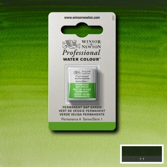 Permanent Sap Green Serie 1 Professional Watercolour Half Napje van Winsor &amp; Newton Kleur 503