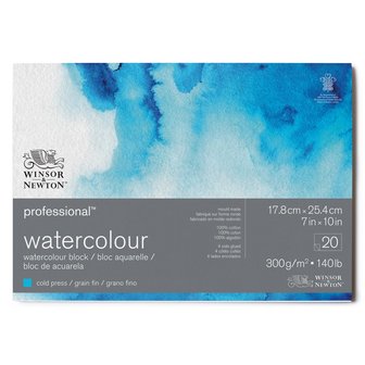 17,8 x 25,4 cm - 20 vellen Professional Aquarelblok 4-zijdig gelijmd 300 gram Cold Pressed / Grain Fin van Winsor &amp; Newton