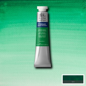 Intense Green Cotman Water Colour / Aquarelverf van Winsor &amp; Newton 21 ML Kleur 329