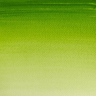 Sap Green Cotman Water Colour / Aquarelverf van Winsor &amp; Newton 21 ML Kleur 599