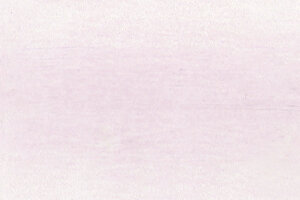 Oyster Drawing Pencil / Potlood van Derwent Kleur 7155