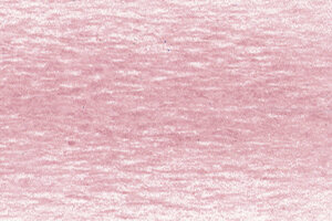 Ash Rose Drawing Pencil / Potlood van Derwent Kleur 1900