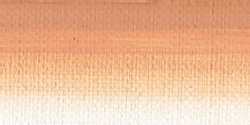 Vleesoker (Serie 1) Rive Gauche olieverf van Sennelier 40 ML Kleur 250