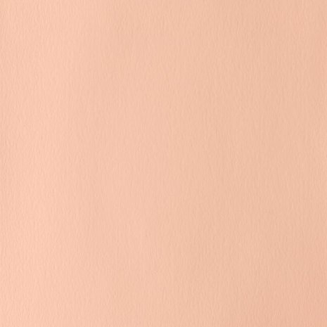 Pale Rose Blush (S 1) Designers Gouache van Winsor & Newton 14 ML Kleur 257