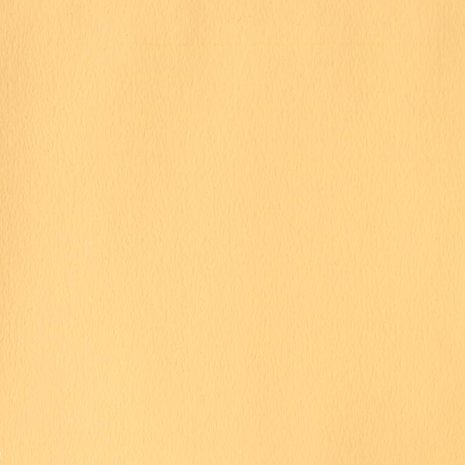 Naples Yellow (S 1) Designers Gouache van Winsor & Newton 14 ML Kleur 422