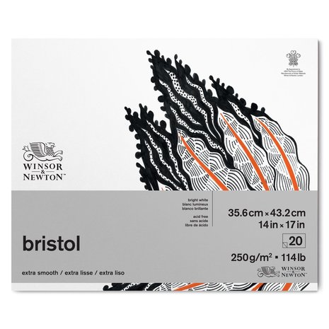 35,6 x 43,2 cm Bristol blok Kopsgelijmd 20 vellen van Winsor & Newton 250 grams 35,6 x 43,2 cm