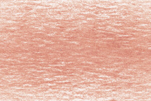 Light Rust Drawing Pencil / Potlood van Derwent Kleur 1650