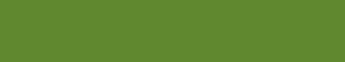 Groene Aarde Van Gogh Olieverf van Royal Talens 20 ML Serie 1 Kleur 629