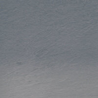 Bilberry (TC09) Tinted Charcoal (Houtskool) Pencil / Potlood van Derwent Kleur 09