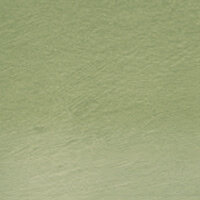 Green Moss (TC15) Tinted Charcoal (Houtskool) Pencil / Potlood van Derwent Kleur 15