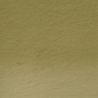 Dark Moss (TC16) Tinted Charcoal (Houtskool) Pencil / Potlood van Derwent Kleur 16