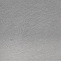 Natural (TC20) Tinted Charcoal (Houtskool) Pencil / Potlood van Derwent Kleur 20