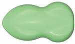 AERO COLOR Total Cover Total Cover Chroom-oxide Groen Schmincke 28 ml Kleur 858