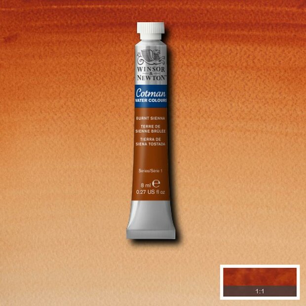 Burnt Sienna 8 ML van Winsor &amp; Newton Cotman Water Colours Kleur 074