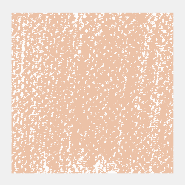 Lichtoranje 9 Rembrandt Softpastel van Royal Talens Kleur 236.9