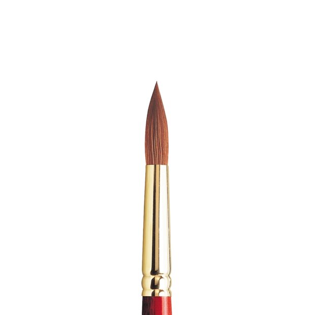 No 12 Serie 101 Winsor &amp; Newton Sceptre Gold II Penseel