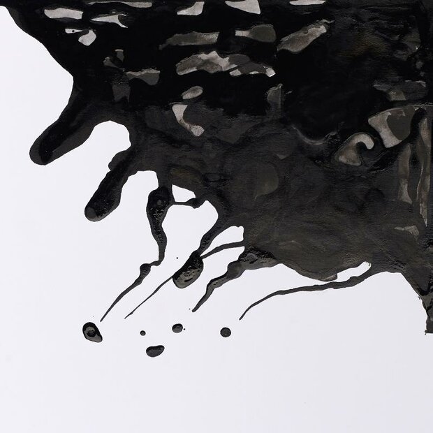 Black Indian Ink Drawing Ink van Winsor &amp; Newton 30 ML (pipet) Kleur 030