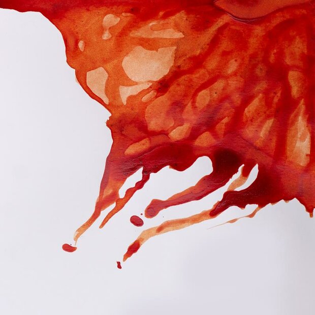 Burnt Sienna Drawing Ink van Winsor &amp; Newton 14 ML Kleur 074