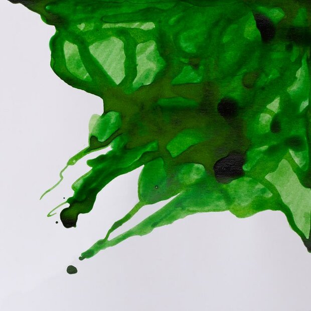 Apple Green Drawing Ink van Winsor &amp; Newton 14 ML Kleur 011