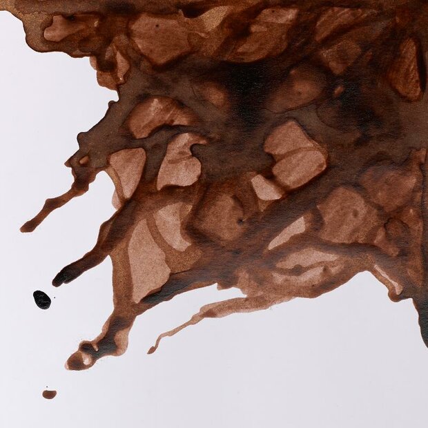 Peat Brown Drawing Ink van Winsor &amp; Newton 14 ML Kleur 469