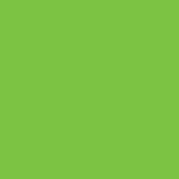 Bright Green Winsor &amp; Newton Promarker Brush Kleur G267