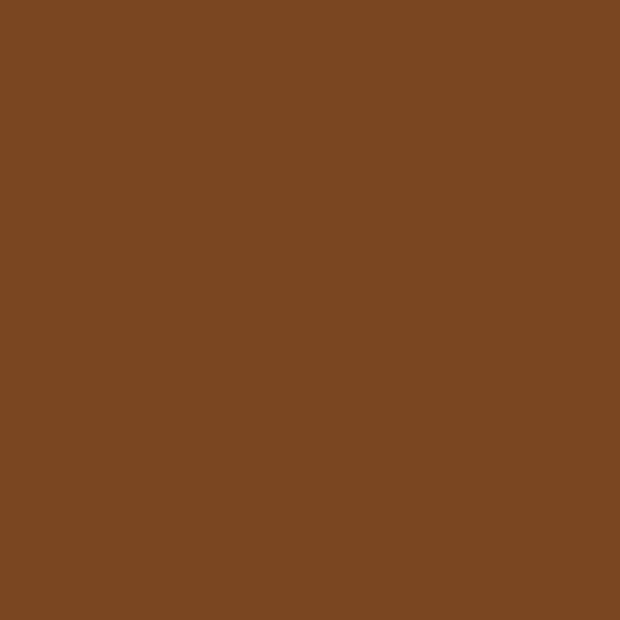 Burnt Sienna Winsor &amp; Newton Promarker Brush Kleur O324