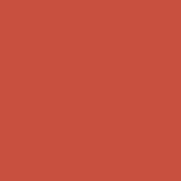 Burnt Orange Winsor &amp; Newton Promarker Brush Kleur R946