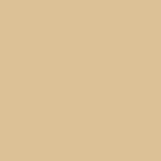 Sandstone Winsor &amp; Newton Promarker Brush Kleur O928