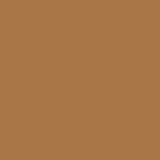 Cocoa Winsor &amp; Newton Promarker Brush Kleur O535
