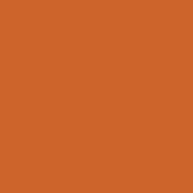 Saddle Brown Winsor &amp; Newton Promarker Brush Kleur O345