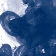&nbsp;Indigo (127) FW Inkt Daler Rowney 29.5 ml