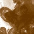 &nbsp;Sepia (251) FW Inkt Daler Rowney 29.5 ml