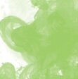 &nbsp;Light Green (348) FW Inkt Daler Rowney 29.5 ml