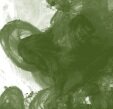 &nbsp;Olive Green (363) FW Inkt Daler Rowney 29.5 ml