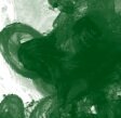 &nbsp;Sap Green (375) FW Inkt Daler Rowney 29.5 ml